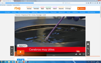 Reportaje “Cerebros muy útiles” emitido por canal 24h de RTVE