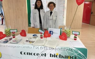 El Nodo Biobanco Hospitalario Virgen Macarena permite desarrollar 56 proyectos de investigación