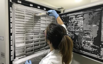 El Macarena de Sevilla impulsa la investigación con un Laboratorio de Ensayos clínicos de Farmacia y